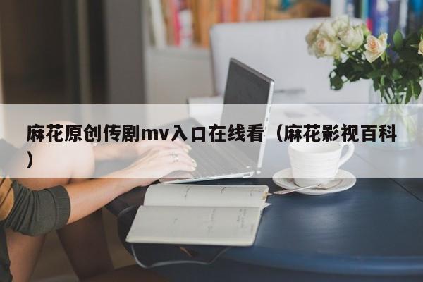 麻花原创传剧mv入口在线看(麻花影视百科)