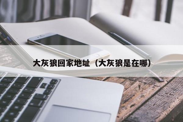 大灰狼回家地址(大灰狼是在哪)