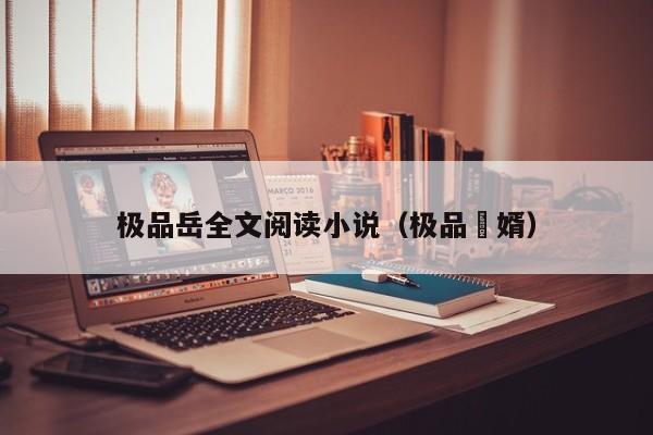 极品岳全文阅读小说(极品嗸婿)